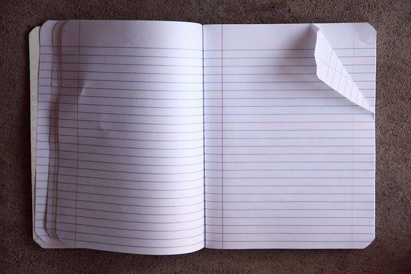 Blank pages in an open notebook